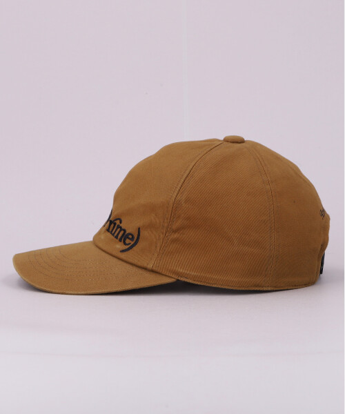 the PHILOSOPHY OF ANDY WARHOL CAP BROWN ONESIZE