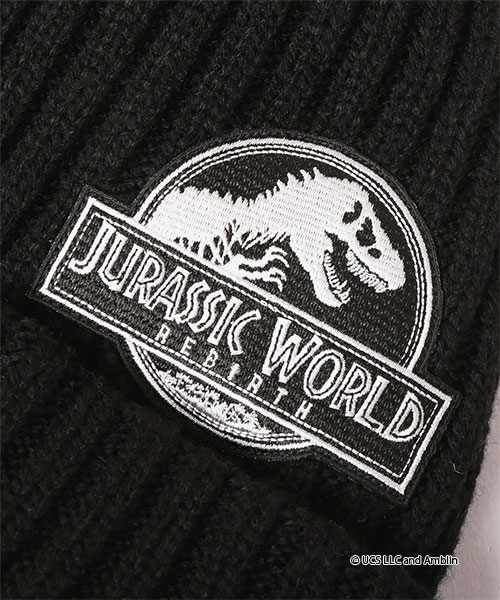 JURASSIC WORLD｜CA4LA KNIT CAP BLACK ONESIZE