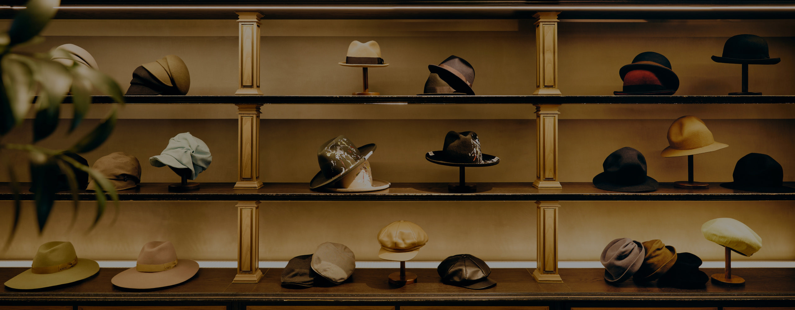 about CA4LAについて