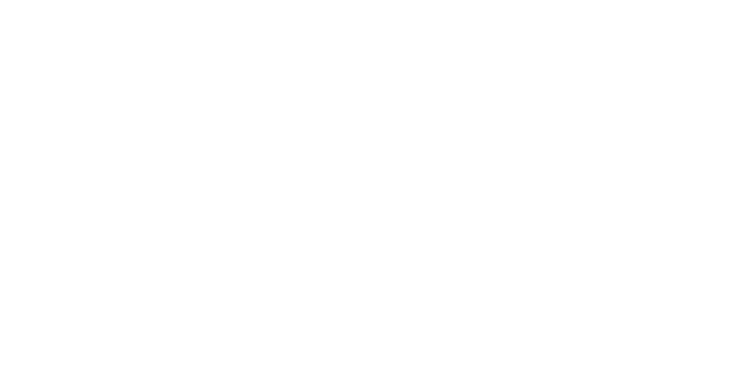 Bomb